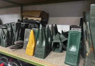 Picture for category TEETH